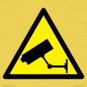 w913-warning-cctv~